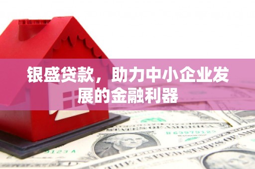 江门银盛贷款，助力中小企业发展的金融利器