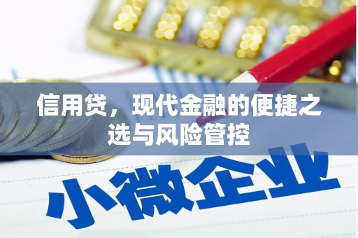 江门信用贷，现代金融的便捷之选与风险管控