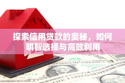 江门探索信用贷款的奥秘，如何明智选择与高效利用