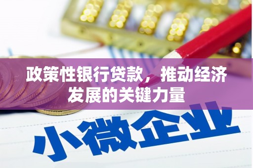 江门政策性银行贷款，推动经济发展的关键力量